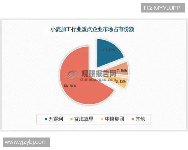 倪永康的政治生涯与影响力分析及其在当代中国的历史地位探讨 倪永康的政治生涯与影响力分析及其在当代中国的历史地位探讨